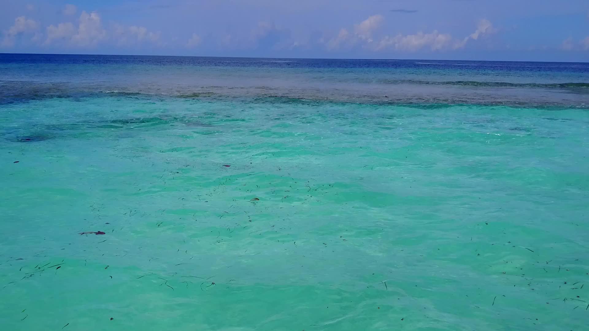白沙背景蓝海岸海滩度假无人机性质视频的预览图