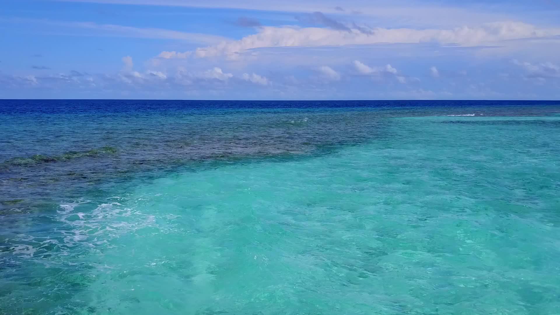 蓝绿色海洋和白色沙滩背景的天堂度假胜地海滩野生生物在空中视频的预览图