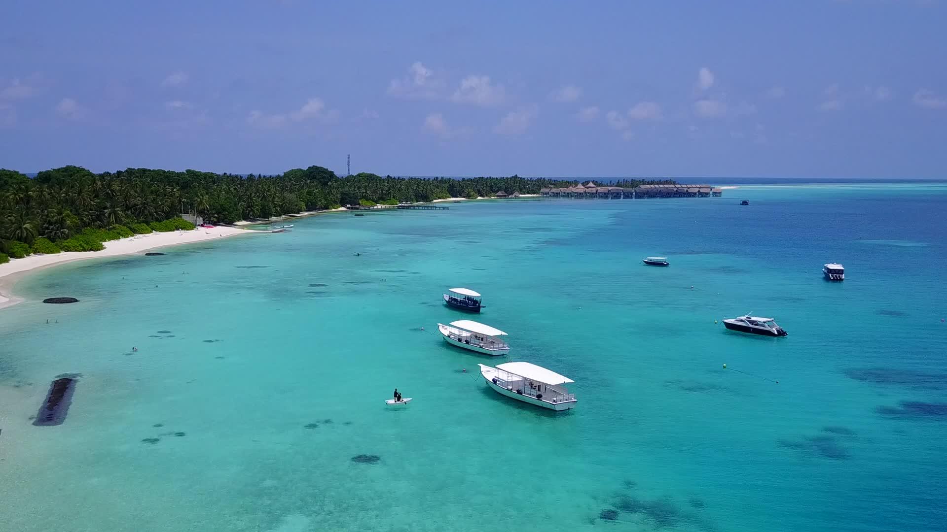 蓝海白沙背景蓝海热带度假胜地野生动物空中无人驾驶视频的预览图