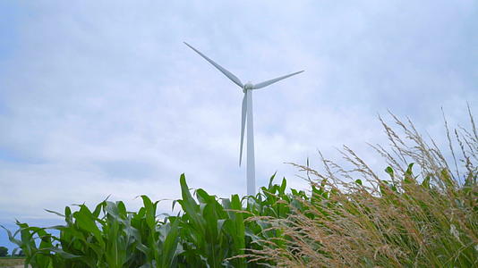 风力涡轮机风力发电场玉米田视频的预览图