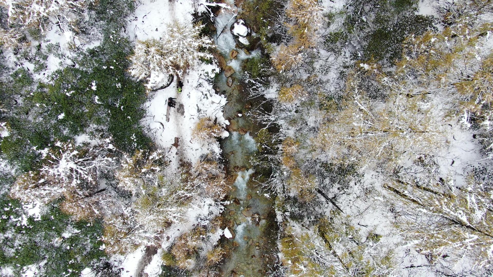 航拍雪中的森林溪水视频视频的预览图