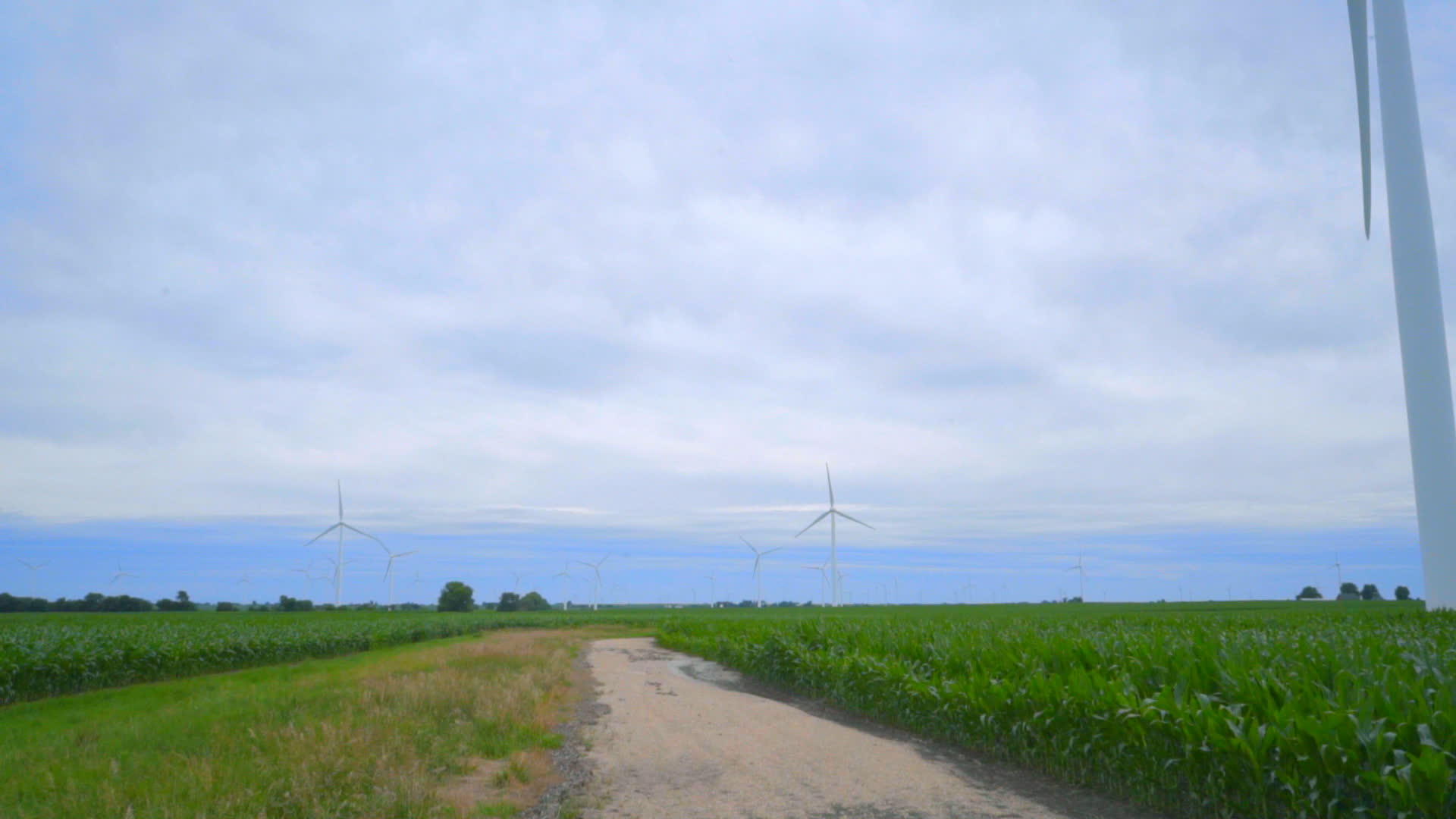 风力涡轮农场：两田之间有风力涡轮的农村道路视频的预览图