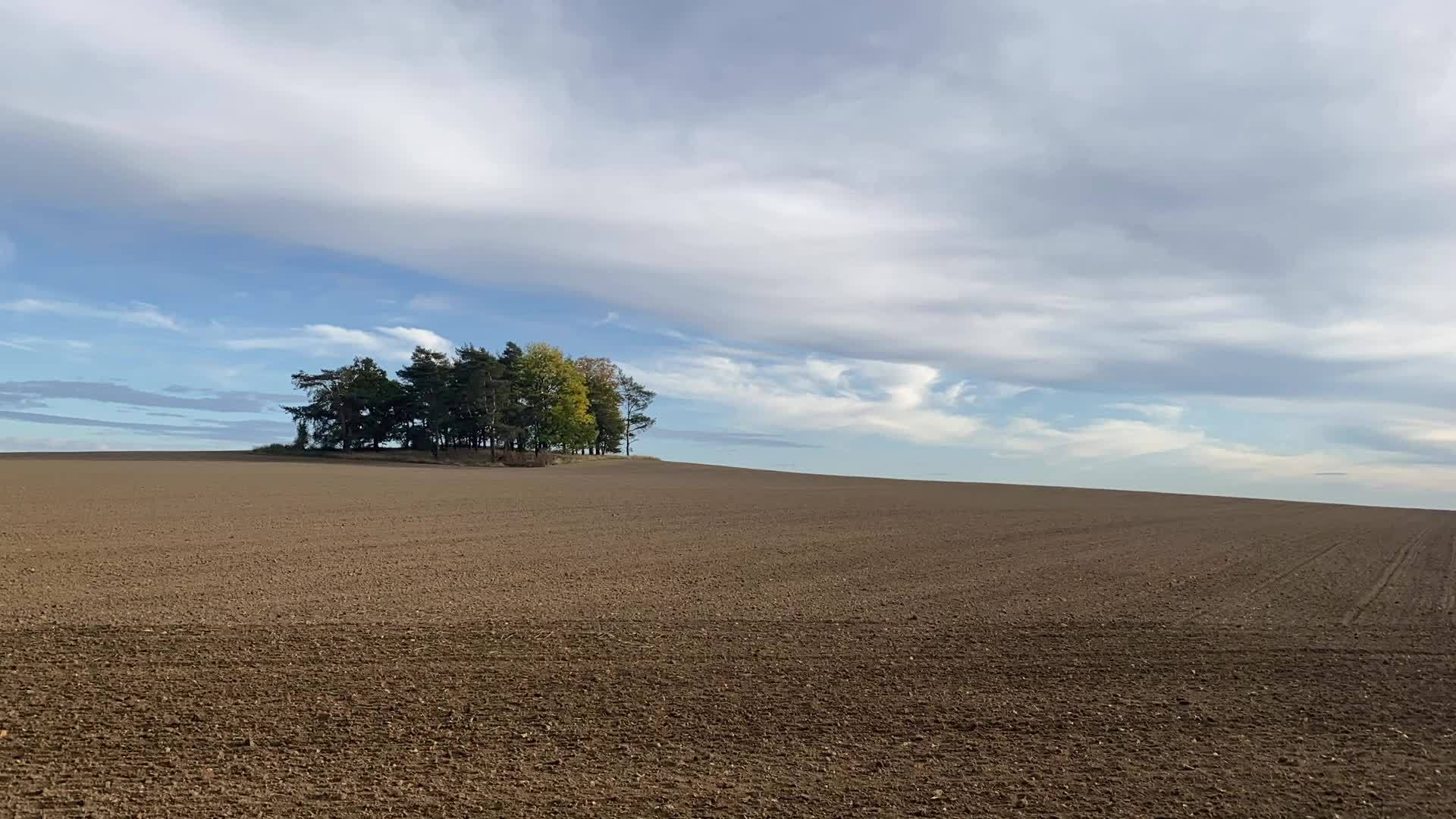 耕种的田地上有一群树视频的预览图