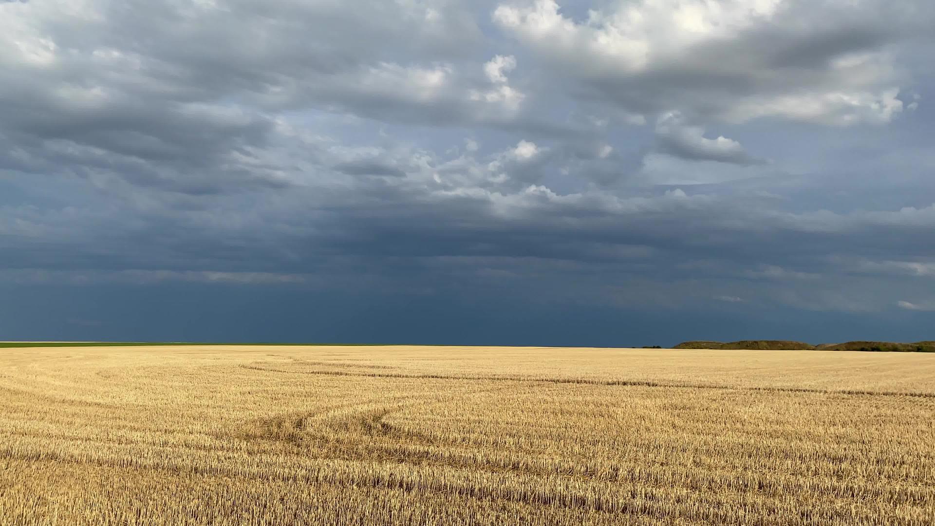 暴风雨前一天在阳光明媚的收获后在开阔的田野上视频的预览图