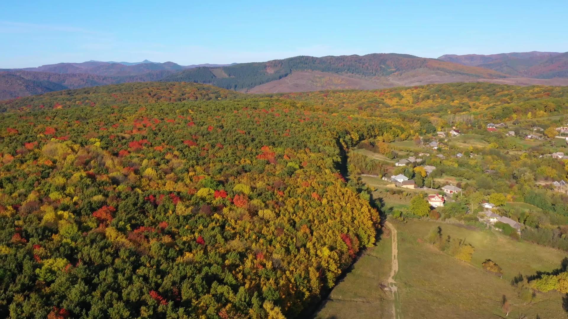 乡村地貌村和秋季森林的空中景观视频的预览图