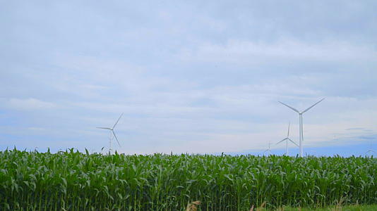 风力发电机领域的风力发电机景观风力发电场视频的预览图