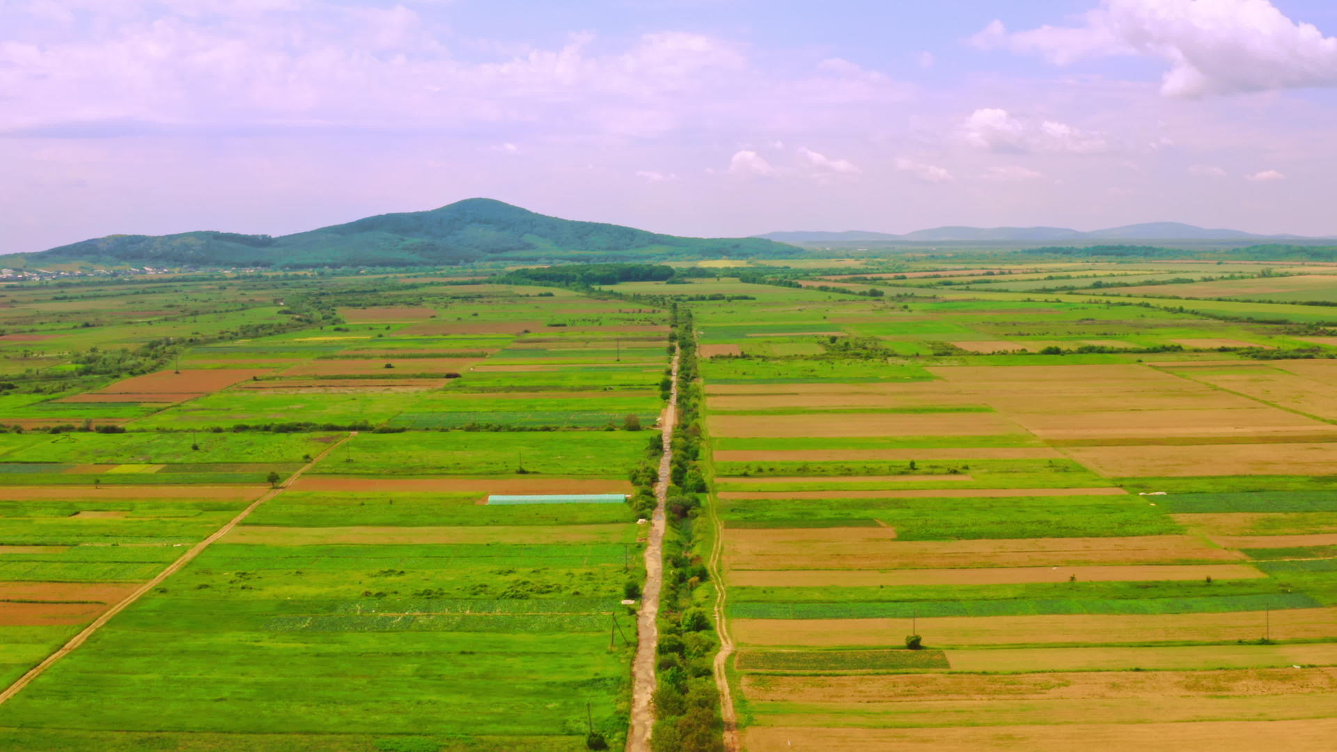 在空中观察农业用地视频的预览图