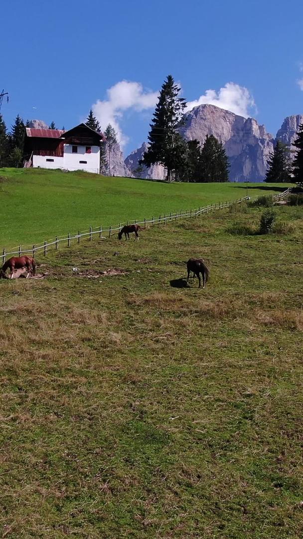 欧洲阿尔卑斯山区田园风光实拍视频视频的预览图
