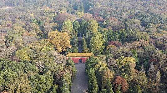 南京明孝陵古建筑秋季风光视频的预览图