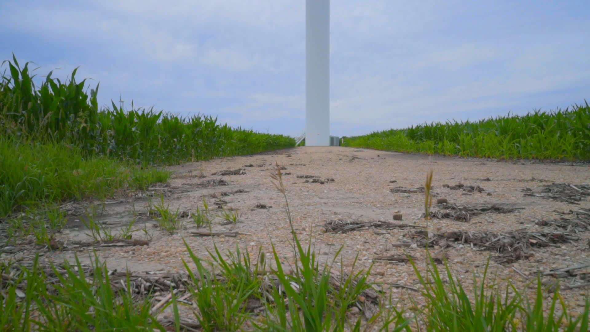 风力涡轮机从地面到风力涡轮机刀片发电视频的预览图