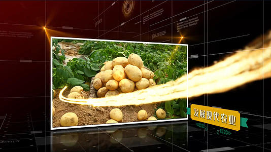 生态农业宣传AE模版视频的预览图