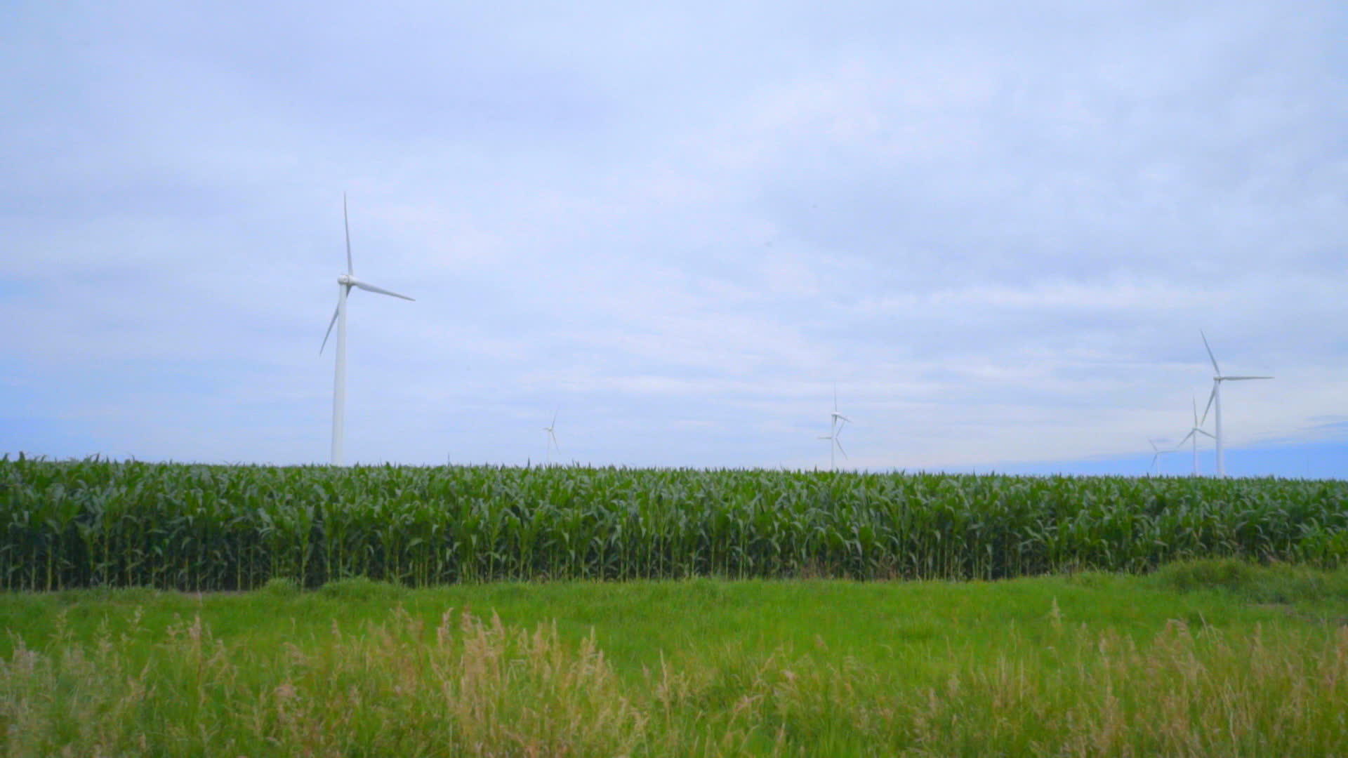 风力涡轮农场绿地视频的预览图
