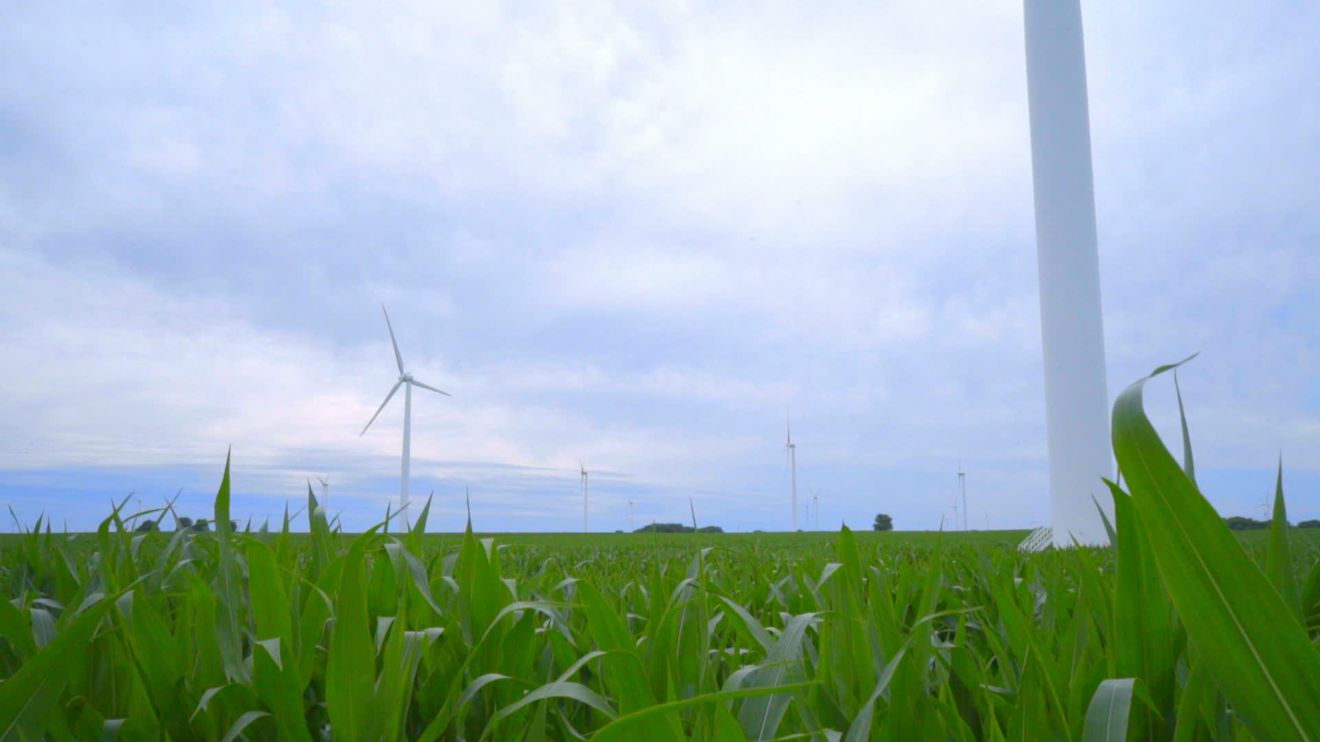 风力涡轮机场视频的预览图