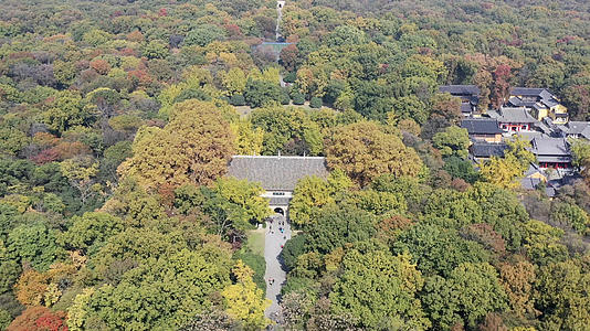 南京灵谷寺古建筑秋季风光视频的预览图