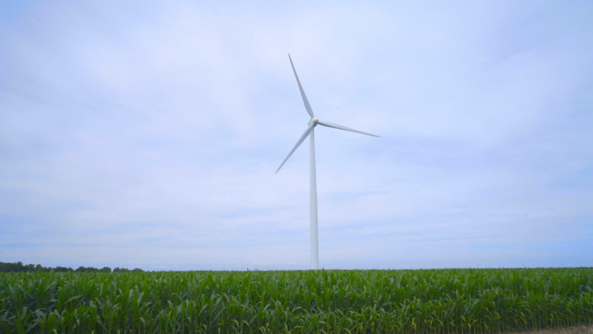 风力发电机风力发电机特写镜头视频的预览图