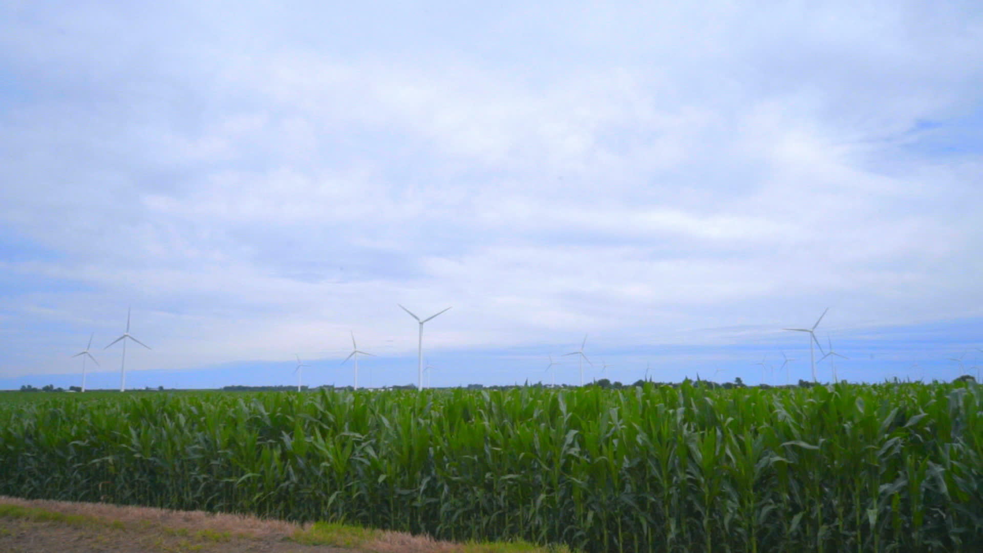 风力涡轮农场在绿地上视频的预览图