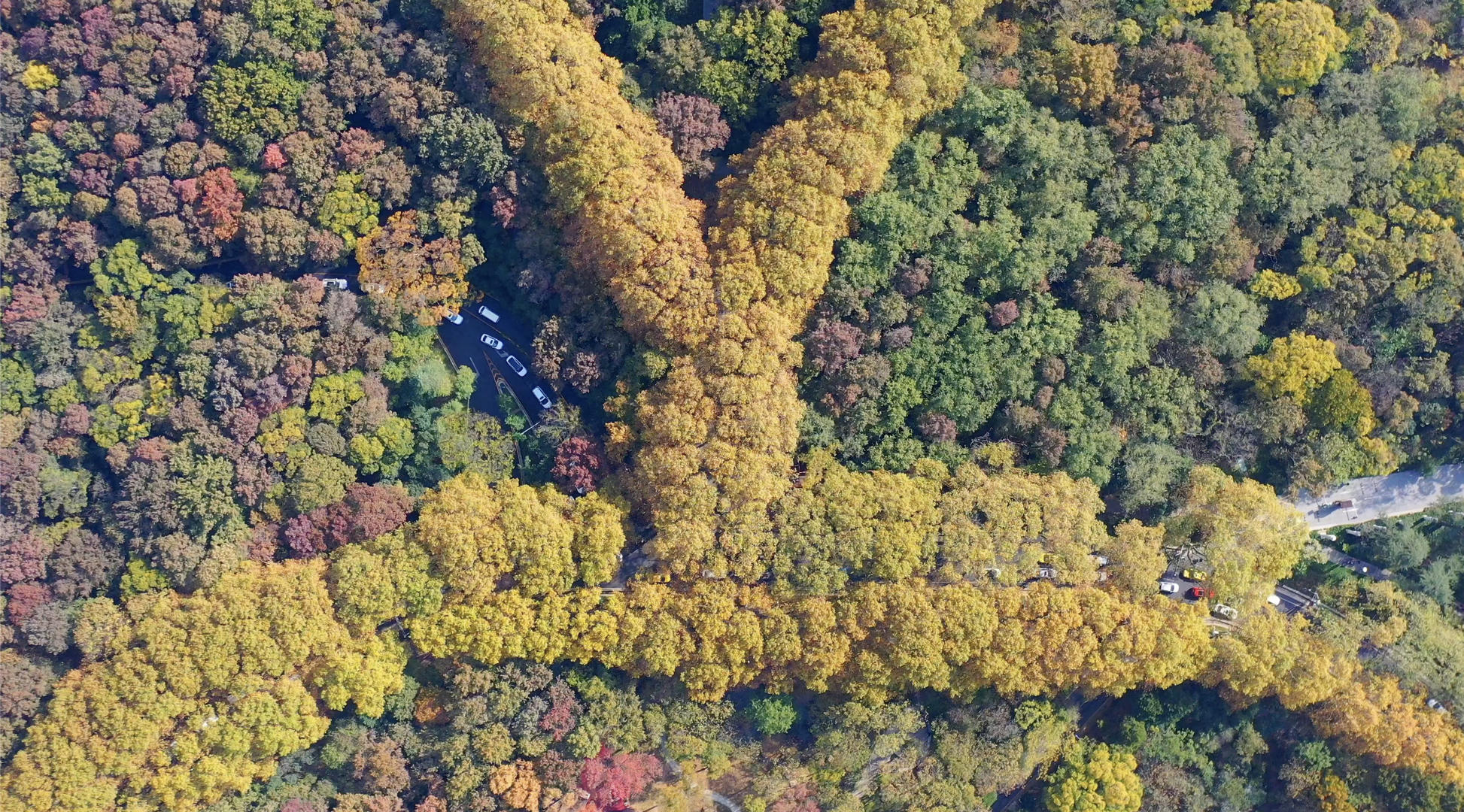 南京美龄宫秋季风光视频的预览图