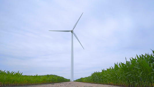 风力涡轮机在绿色田间农村公路上视频的预览图
