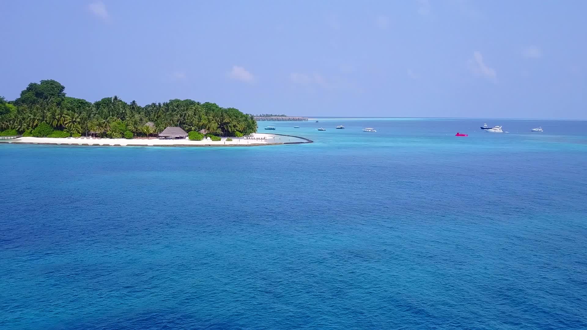 蓝绿色海洋和白色沙底背景的海滩野生生物视频的预览图