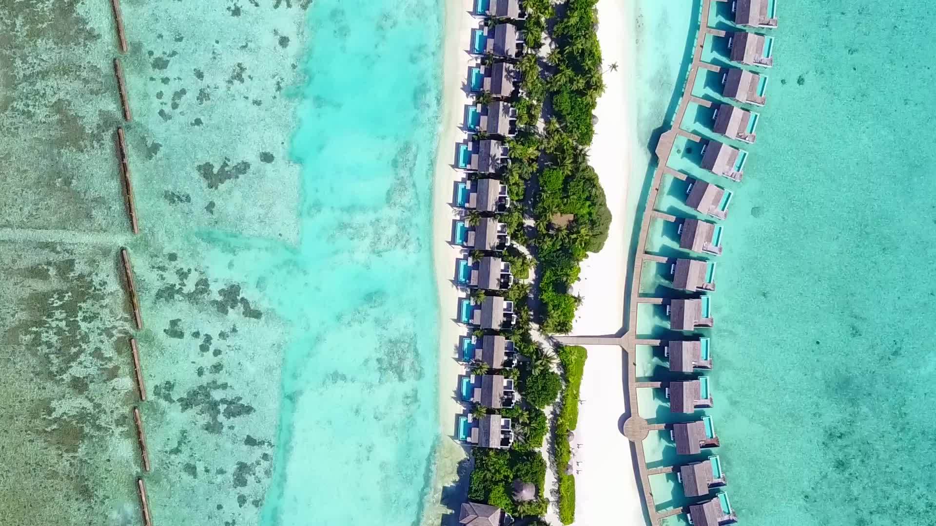 在以白沙为背景的蓝色海洋中在热带游客的海滩时空中视频的预览图