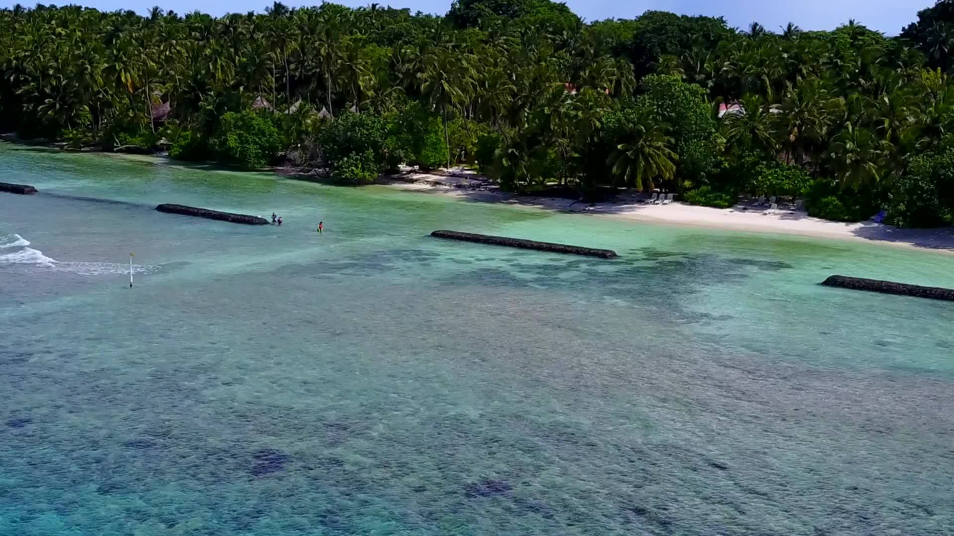海洋环礁湖海滩野生生物通过蓝海和白色沙沙背景在空中视频的预览图