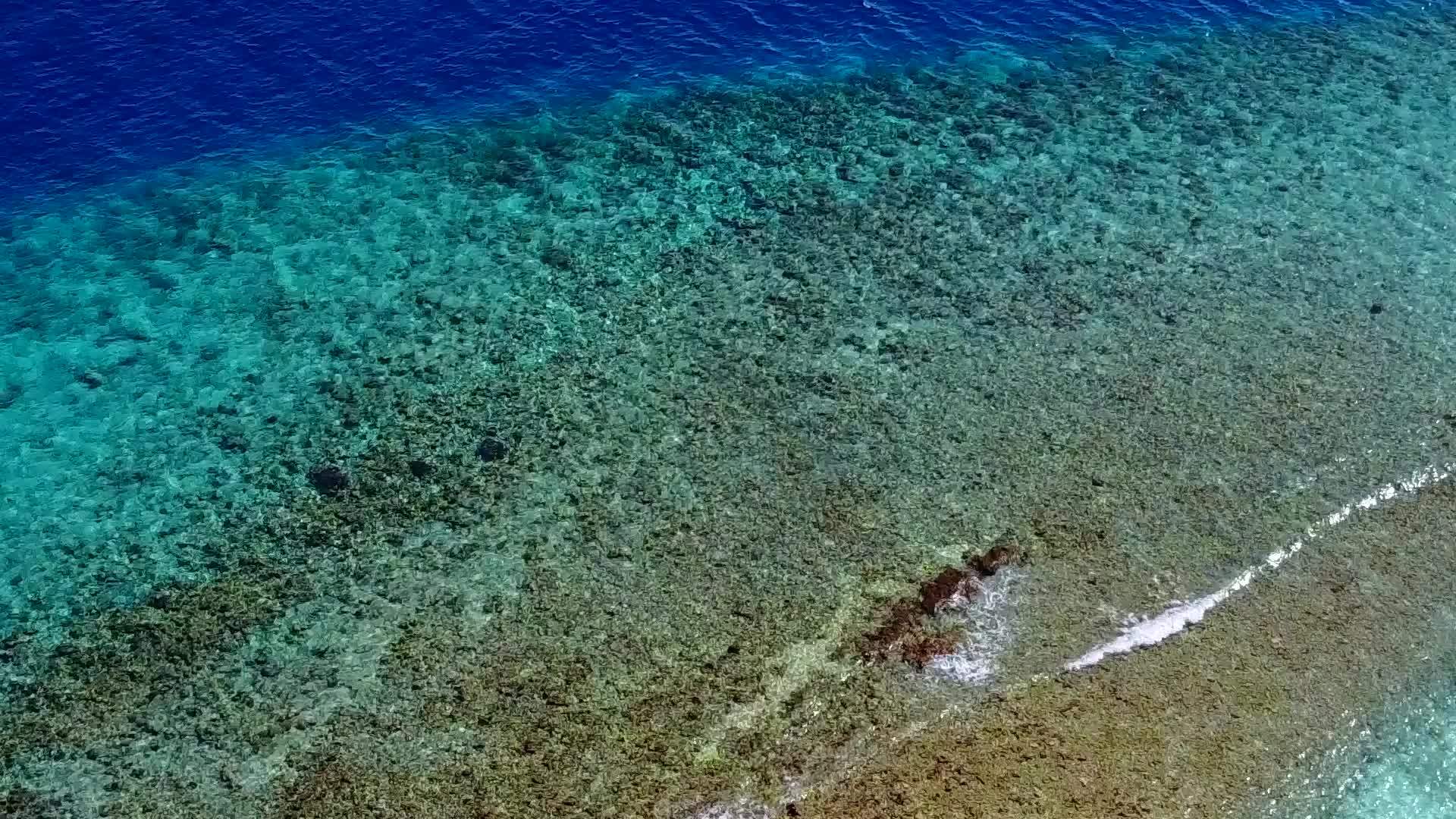 白沙背景清海热带旅游海滩之旅视频的预览图