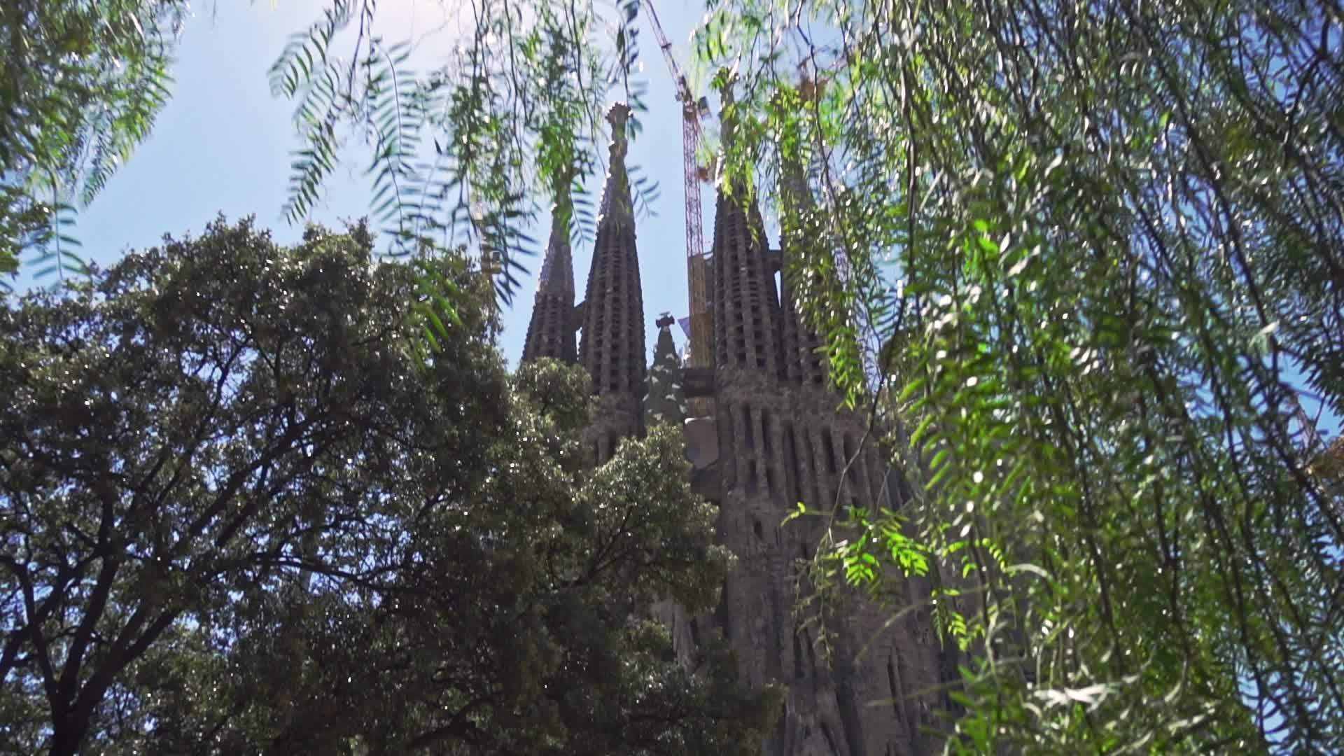 树叶上有古老的天主教堂视频的预览图