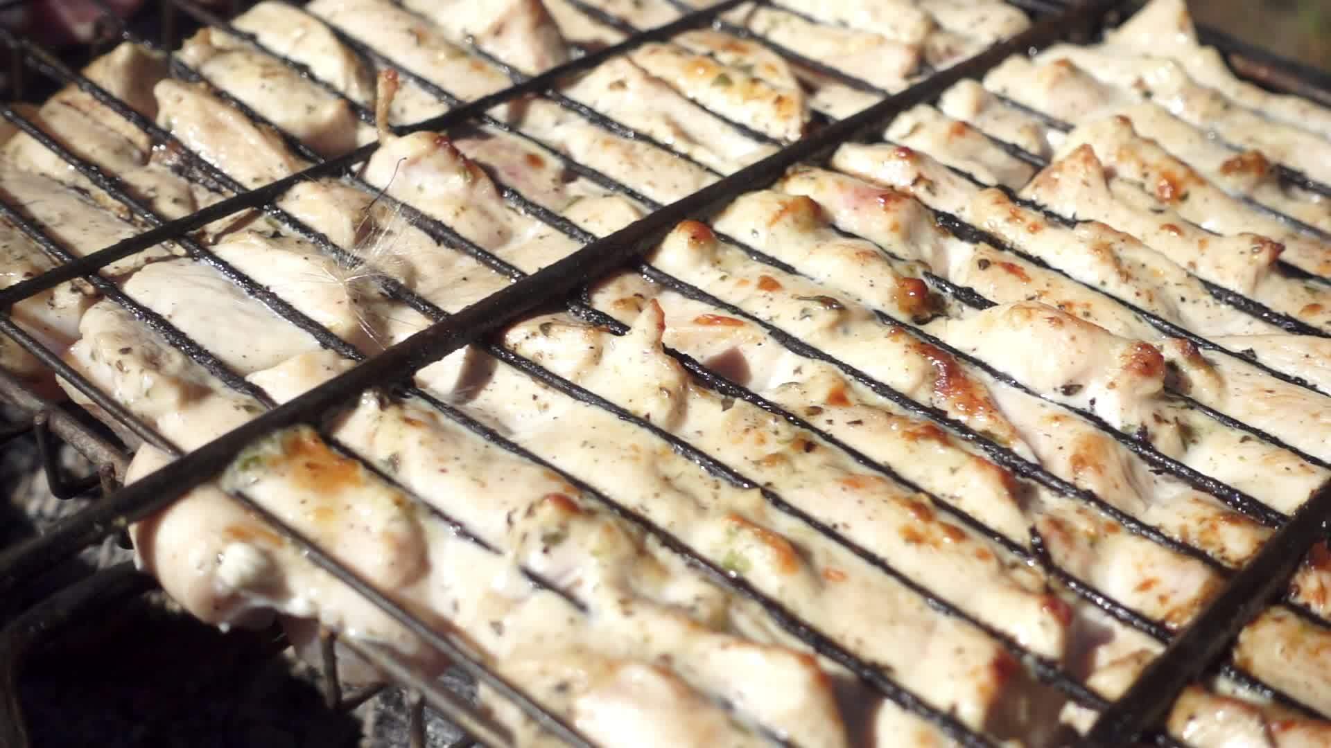 夏季自然露营休息时烧烤架上美味的烧烤视频的预览图