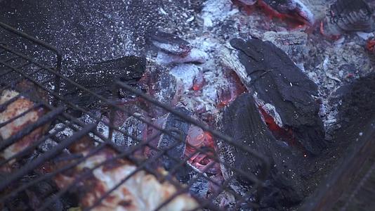 在烧烤架上烧煤在夏季野餐的背景下烧烤视频的预览图