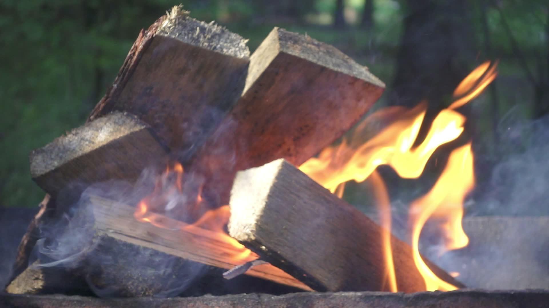 暑假期间在野营火上烧柴视频的预览图