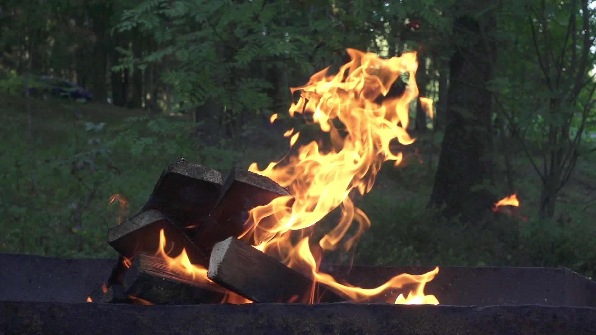 以木柴烧为夏季烹饪食品视频的预览图