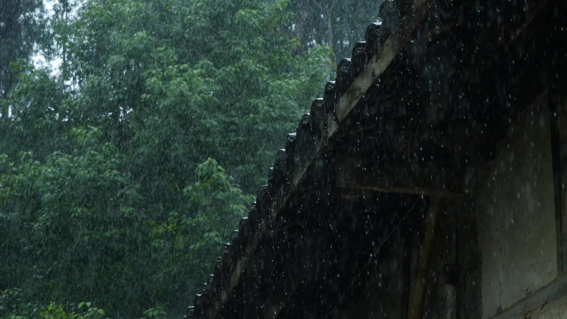 雨的预览图