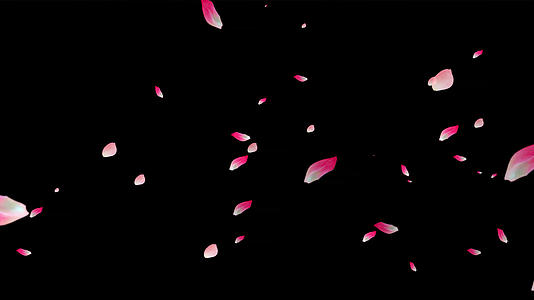 粒子花瓣飘落动画元素带透明度视频的预览图