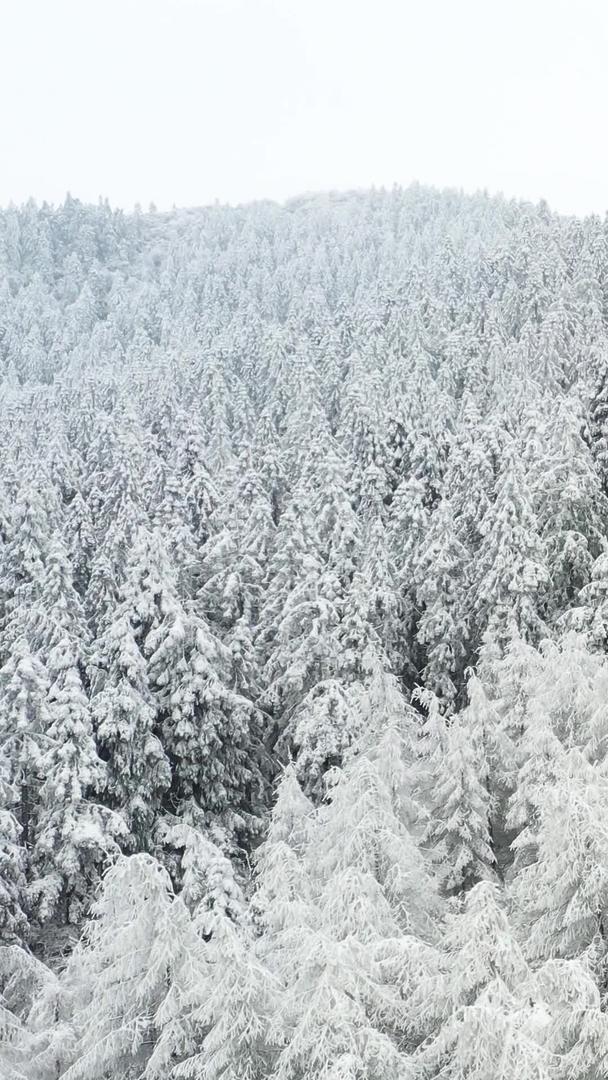 冬季冰天雪地航拍仙女山景区视频的预览图