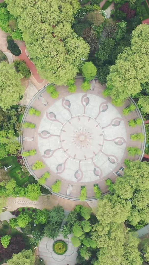 武汉中心公园森林广场航拍视频的预览图