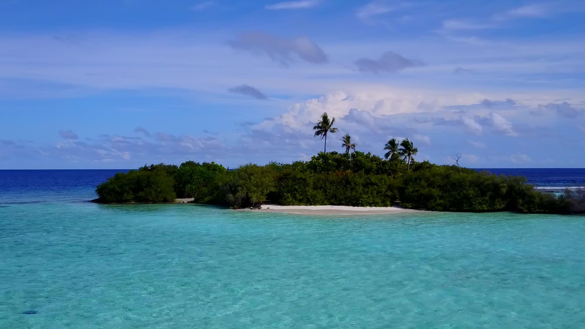 蓝色的海洋和白色的海滩背景安静的海滩野生生物在空中无人驾驶飞机视频的预览图
