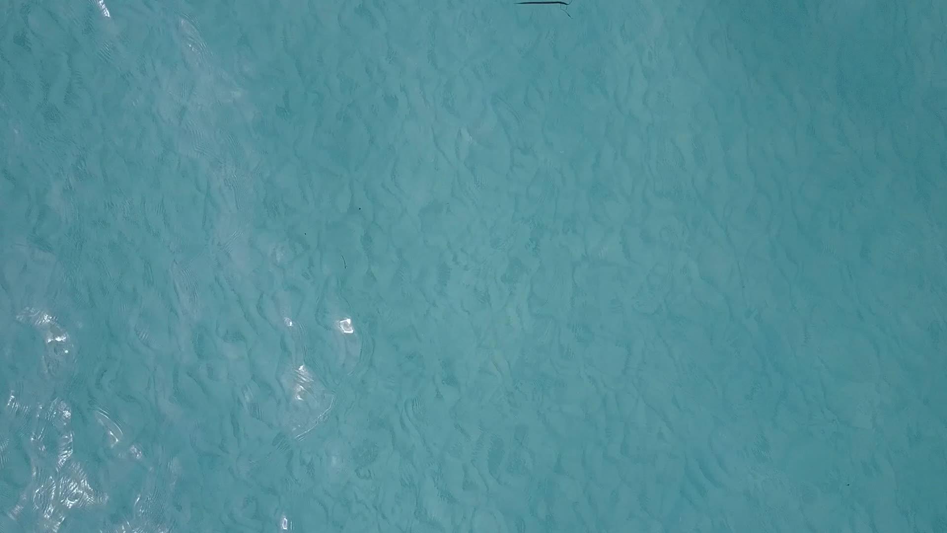 以白色沙滩背景的蓝色海洋为例观察环礁湖奇特的海滩生活视频的预览图