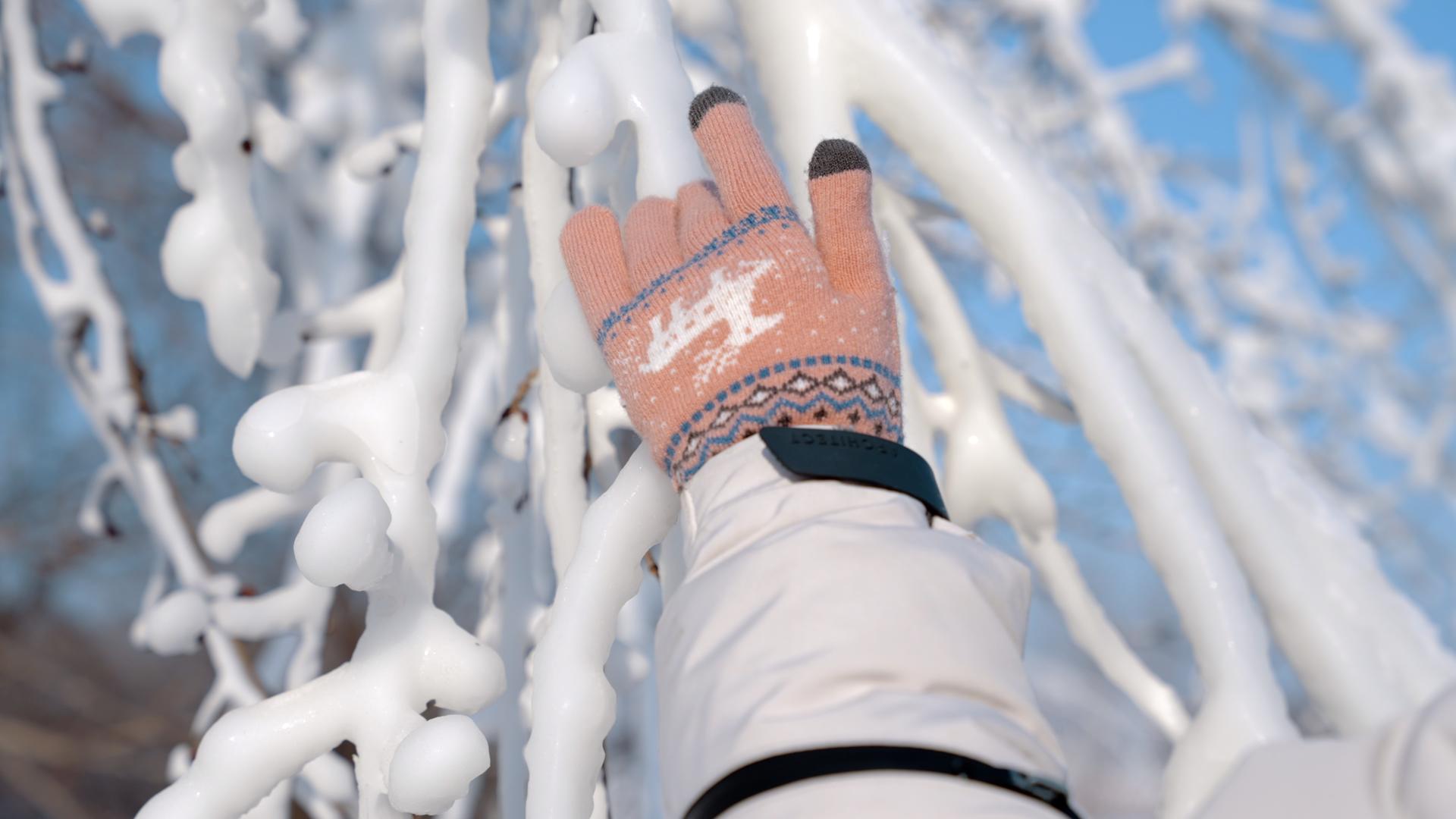 4k手摸雾凇冬季寒冷北方雪国视频的预览图