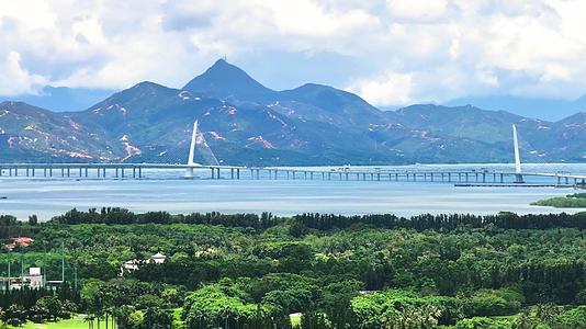 深圳湾大桥4K视频的预览图