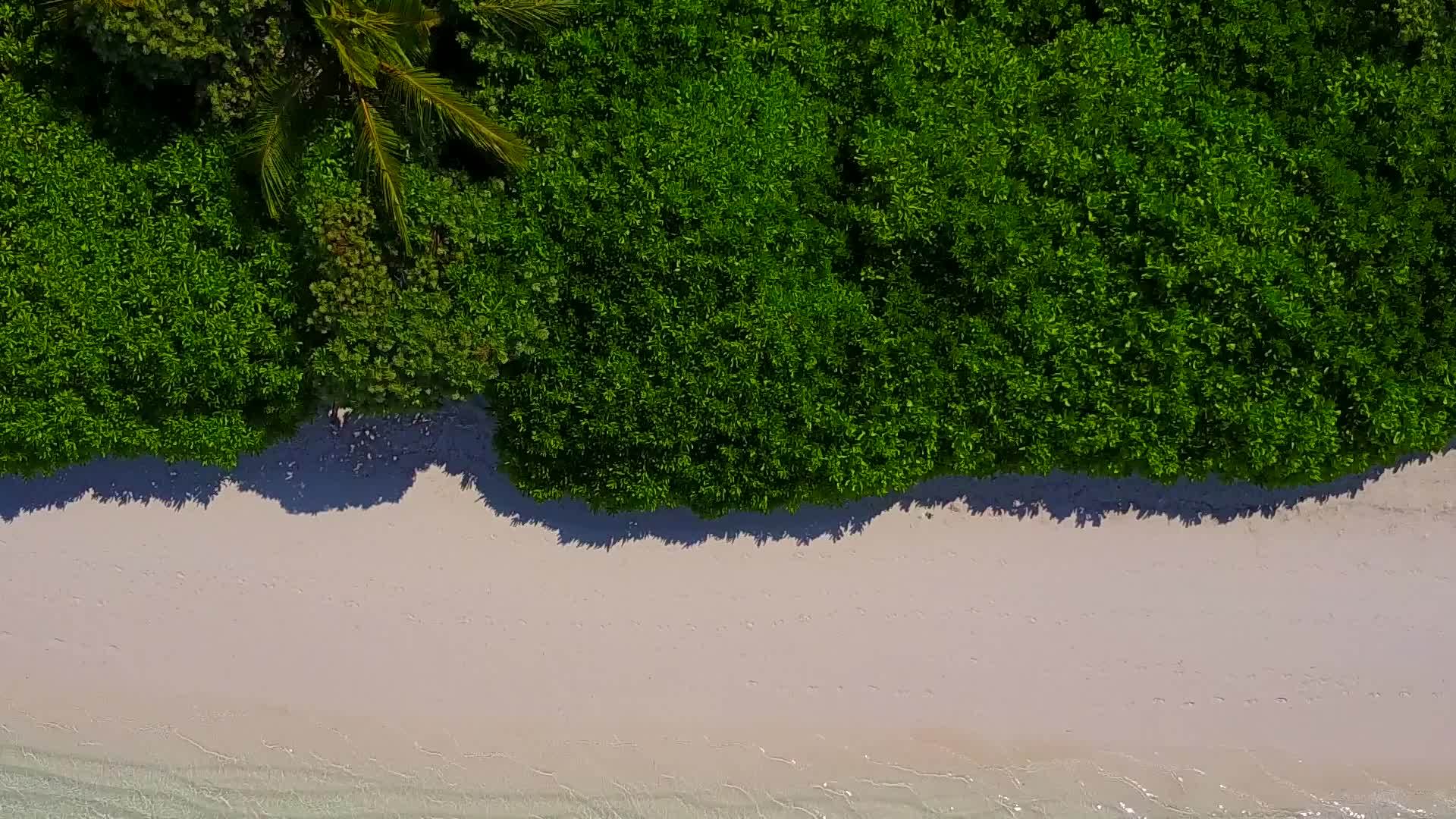 白沙背景蓝色泻湖海岸海滩野生动物无人机空中海景视频的预览图