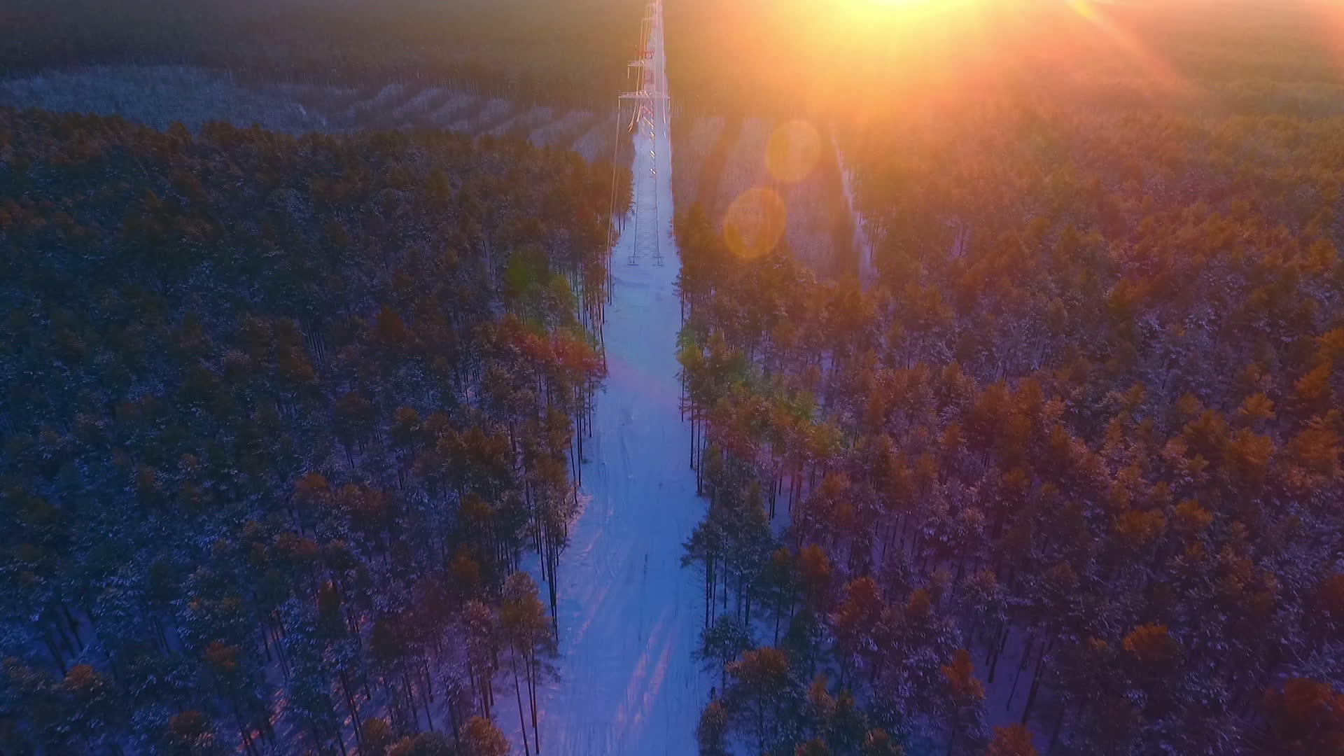 传输塔的森林空中景观视频的预览图