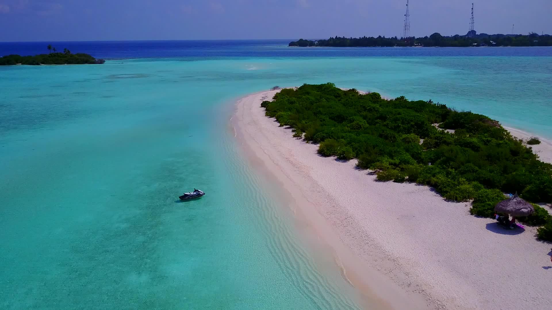 热带海景海滩野生动物空中无人机旅游视频的预览图