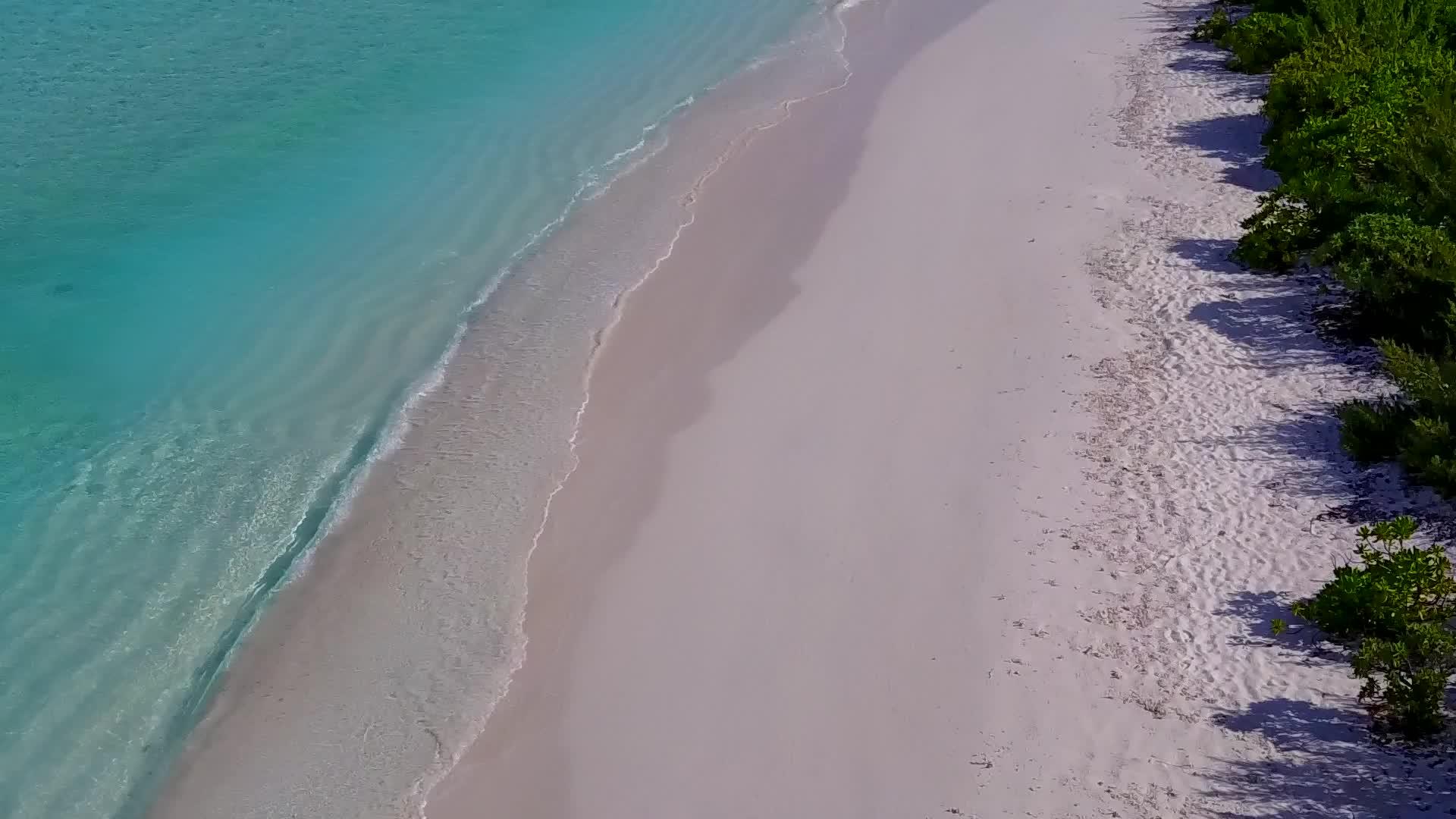 蓝环礁湖和白色沙滩视频的预览图