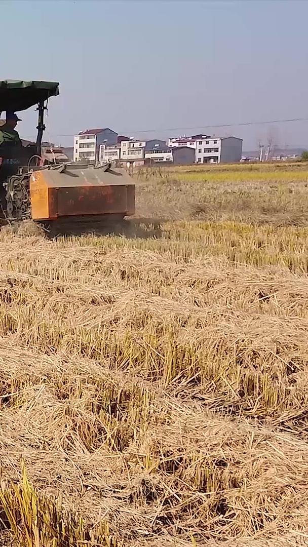 稻草回收利用视频的预览图