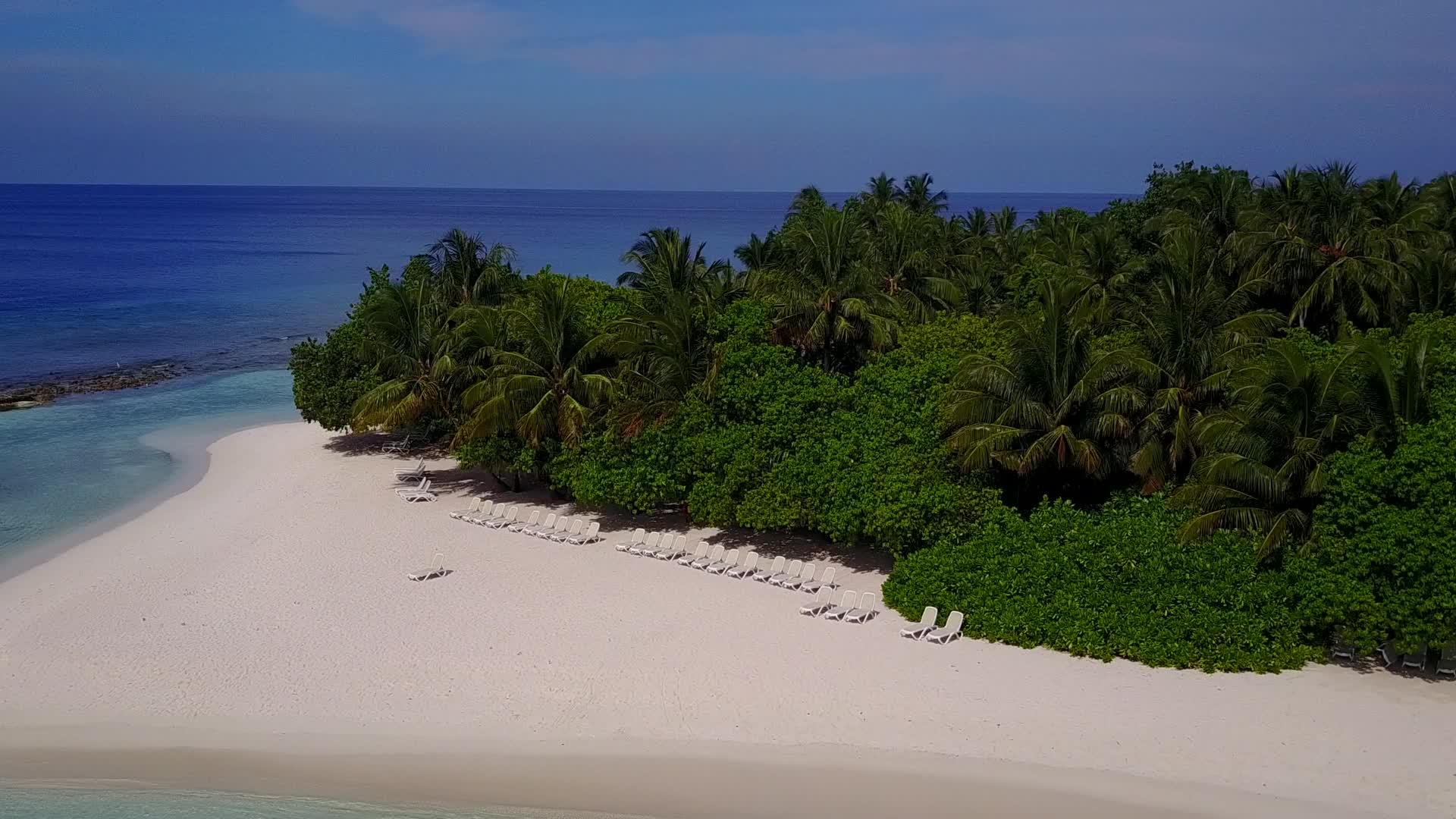 白沙背景下清澈的海洋和热带度假海滩野生动物视频的预览图