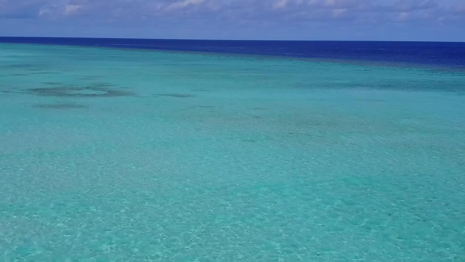 白沙背景蓝绿海豪华旅游海滩野生动物空中无人机全景视频的预览图