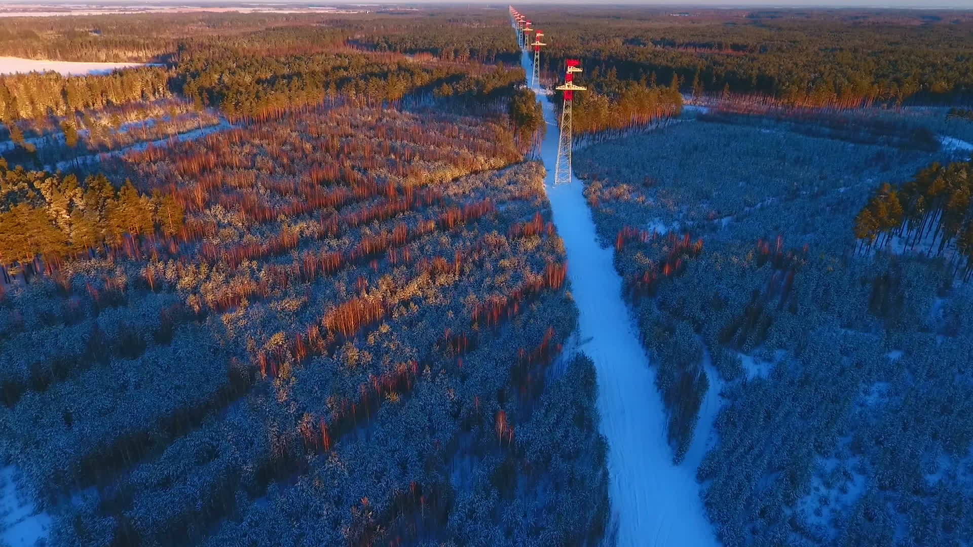 森林高压电塔电力线路能源工业视频的预览图