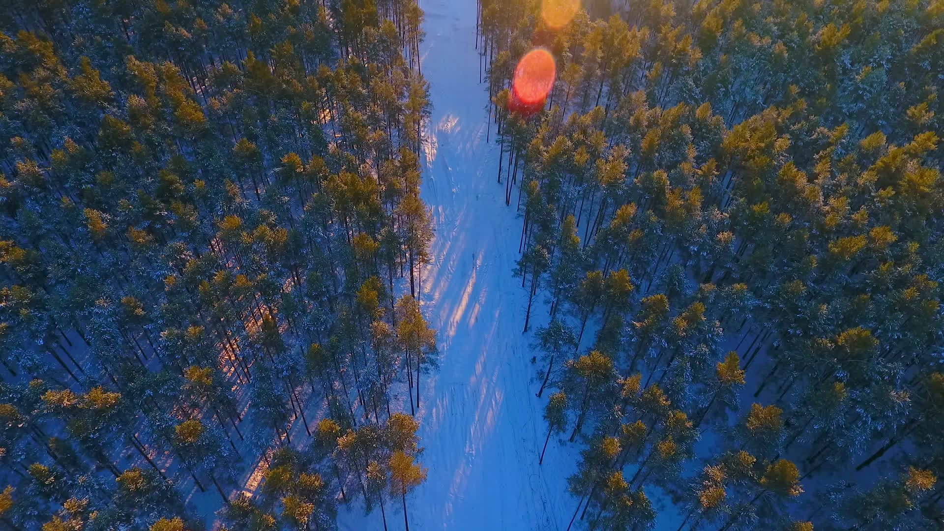 传输塔空森林景观电力视频的预览图