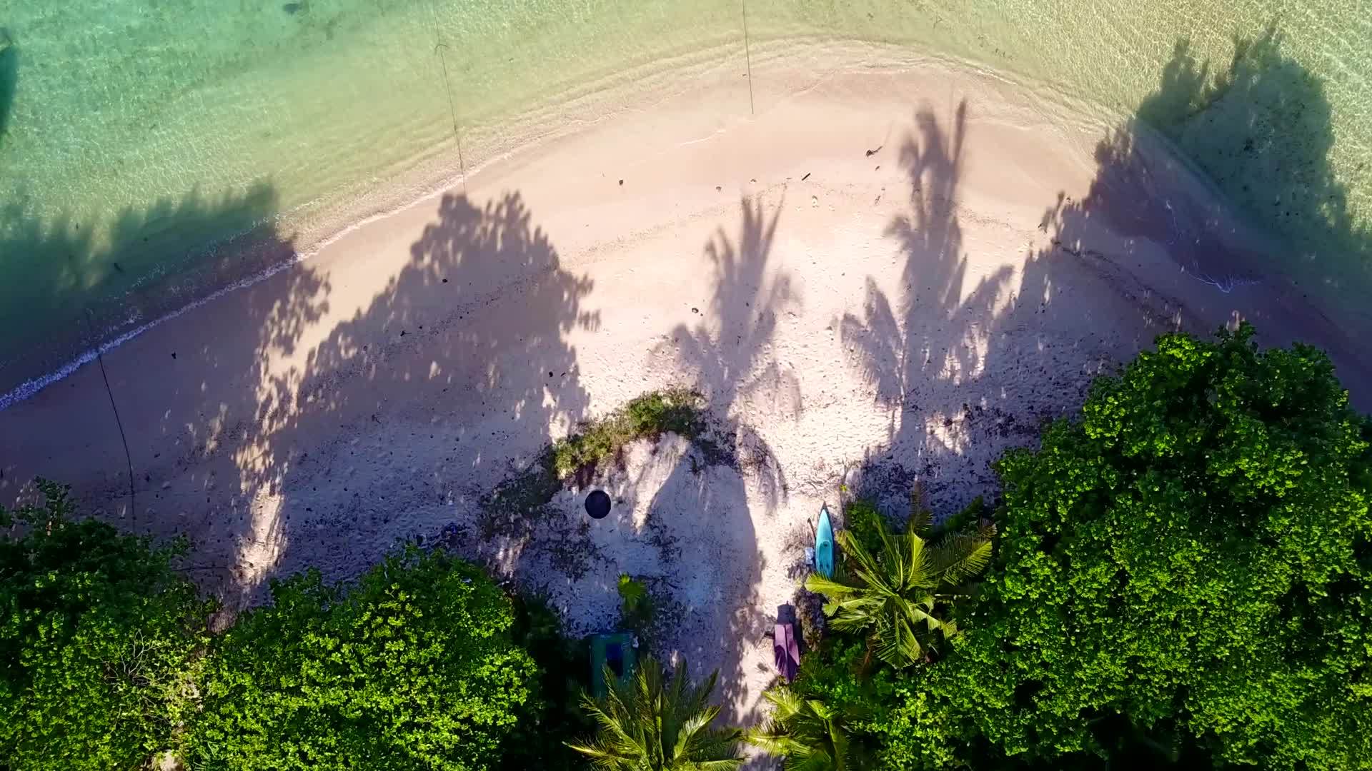 白沙底蓝海天堂岛海滩野生动物的空气观察视频的预览图
