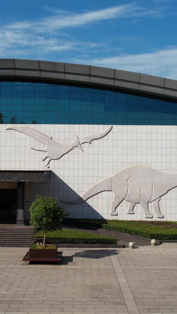 中国西峡恐龙遗址5A恐龙博物馆视频视频的预览图